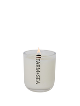 Load image into Gallery viewer, Tumbler Jar Candles with Wood Wick
